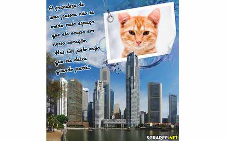 Moldura - Teste Do Amor