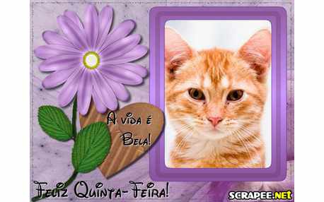 Moldura - Feliz Quinta Feira