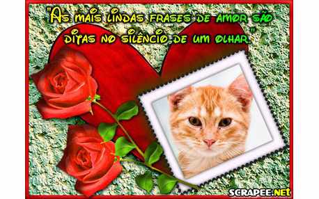 Moldura - A Mais Linda Frase De Amor