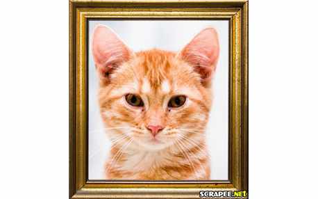 Moldura - Moldura Para Quadro