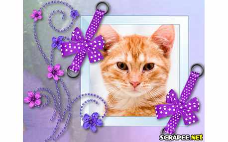 Moldura - Arranjo Para Fotos