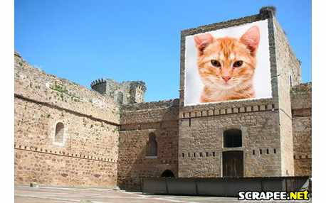 Moldura - Monumentos Historicos