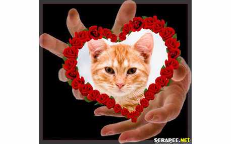 Moldura - Coracao De Rosas