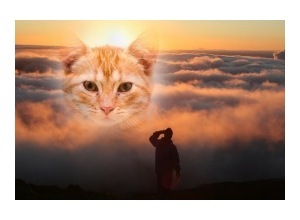 Moldura - Sun Rises Over Maui