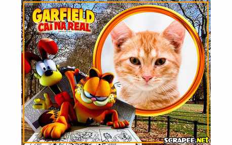 Moldura - Garfield Cai Na Real