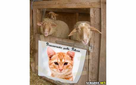 Moldura - Procurado Pela Policia