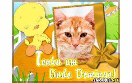 Moldura - Lindo Domingo