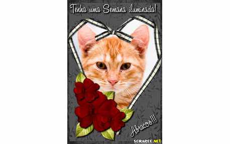 Moldura - Seja Iluminado