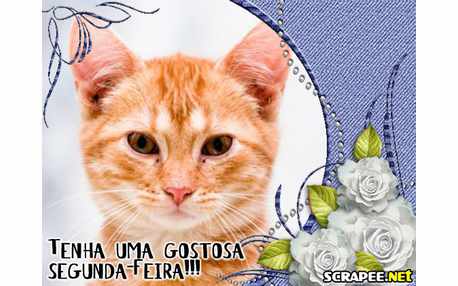 Moldura - Uma Otima Segunda