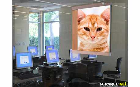 Moldura - Escola De Informatica