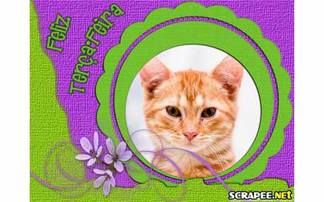 Moldura - Scrap De Terca Feira Com Foto