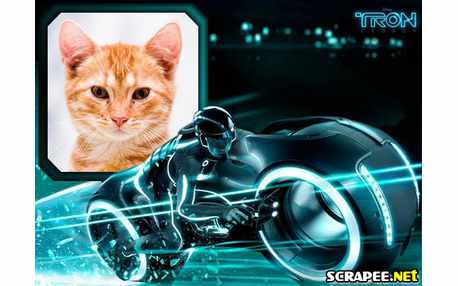 Moldura - Tron O Legado