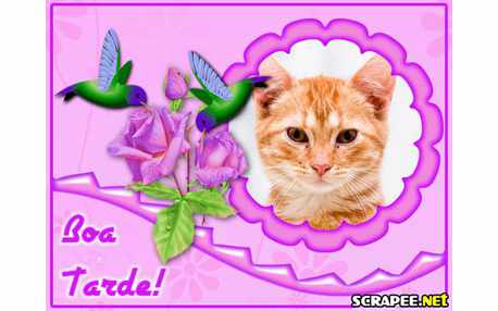 Moldura - Scrap Beija Flor De Boa Tarde