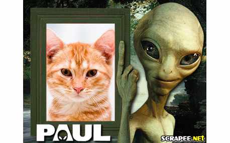 Moldura - Filme Paul