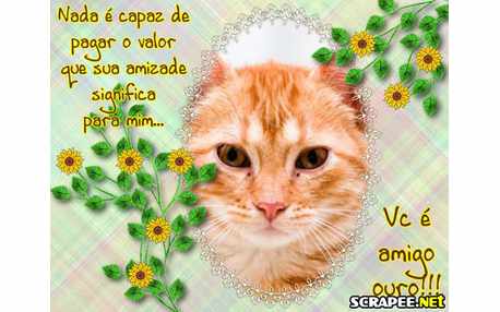 Moldura - Amigo Ouro