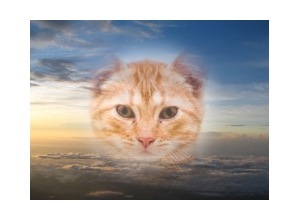 Moldura - Clouds And Sky