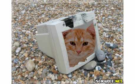 Moldura - Computador Quebrado