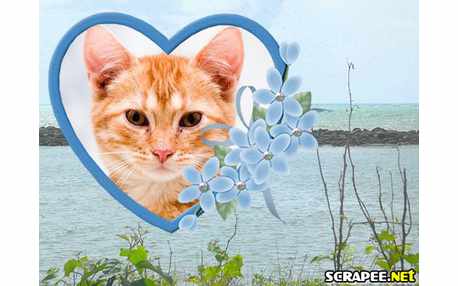 Moldura - Montagem De Coracao