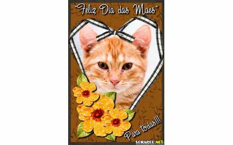 Moldura - Homenagem Virtual Para Mae