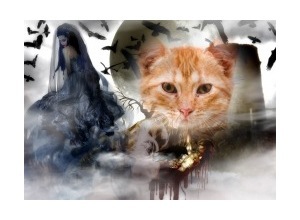 Moldura - Death Becomes You