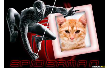 Moldura - Spider Man