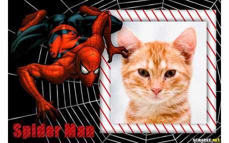 Moldura - Spider Man   Homen Aranha