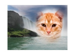 Moldura - Falling Water