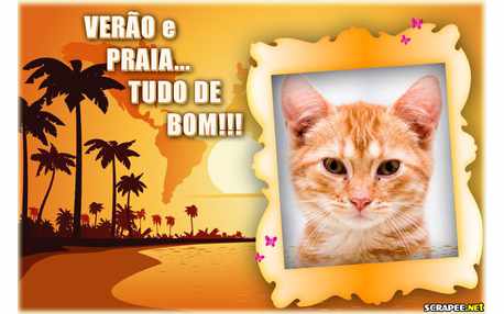 Moldura - Verao E Ferias