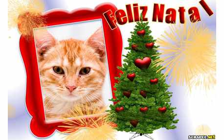 Moldura - Arvore De Natal