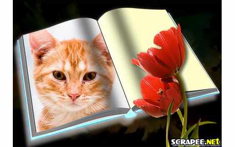 Moldura - Album Grande