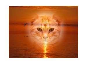 Moldura - Bradford Beach Sunrise