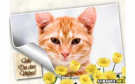 Moldura - Feliz Dia Das Maes