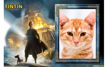 Moldura - As Aventuras De Tintin