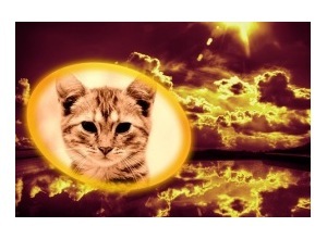 Moldura - The End Of The Earth