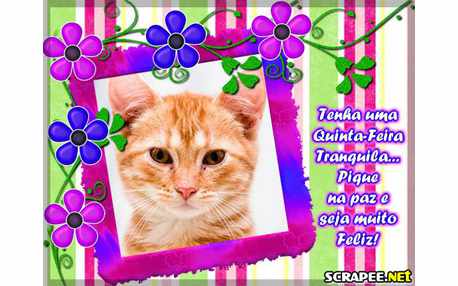 Moldura - Quinta Feira De Capacitacao