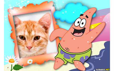 Moldura - Patrick Do Desenho Bob Esponja