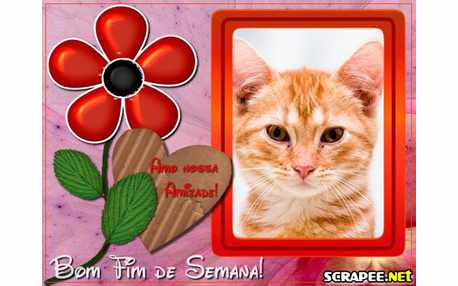 Moldura - Fim De Semmana No Jardim