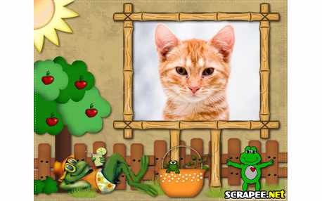 Moldura - Casa De Sapo