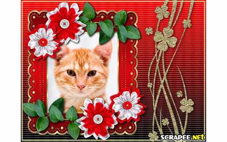 Moldura - Montagem Com Flores