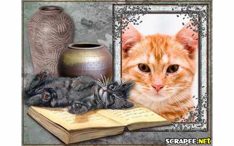 Moldura - Gatinho Dormindo