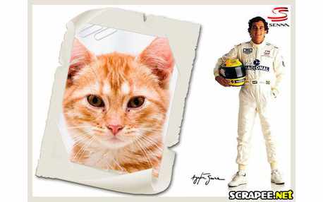 Moldura - Ayrton Senna