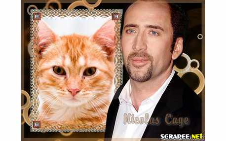 Moldura - Nicolas Cage