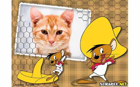 Moldura - Looney Tunes