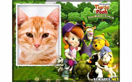 Moldura - Meus Amigos Tigrao E Pooh
