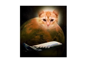 Moldura - Airbus Ark