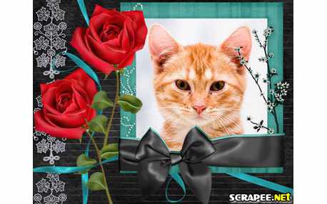 Moldura - Rosinhas Vemelhas