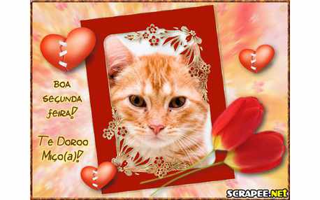 Moldura - Segunda Feira Otima