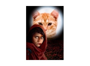 Moldura - Genocide In The Middle East