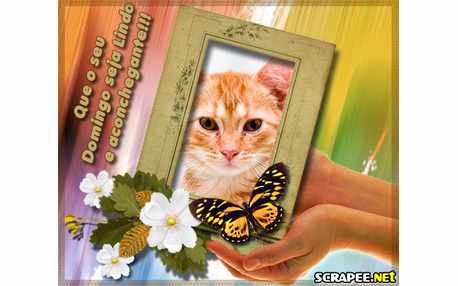 Moldura - Domingo Aconchegante