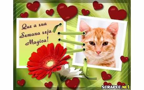 Moldura - Semana Magica